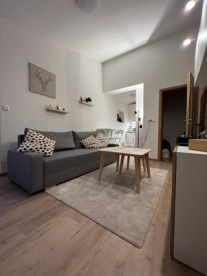 Apartman U Potoka โดลนี โมราวา ภายนอก รูปภาพ